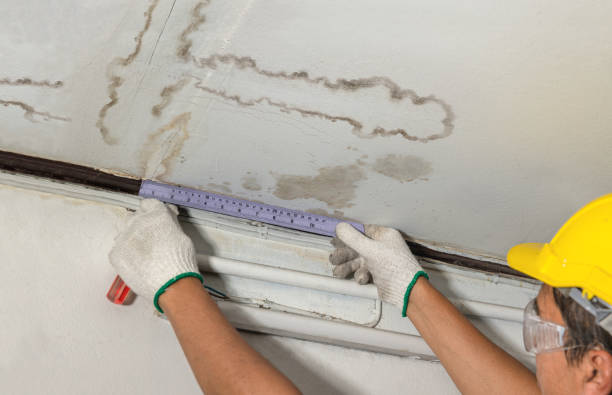 Reliable Water Damage Repair contractor in Uniontown, AL by Hirex Water Damage